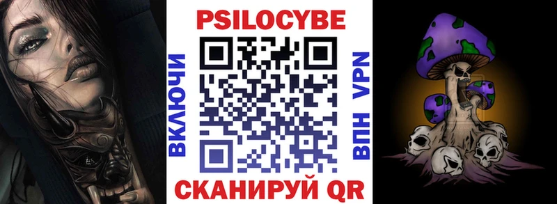 Галлюциногенные грибы Psilocybe  Купить закладки  Пересвет 